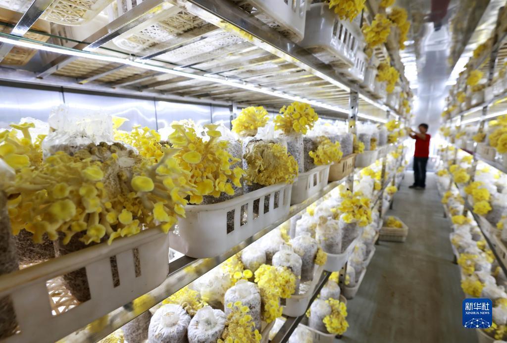 浩博登录网址